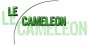 Référencement LE CAMELEON